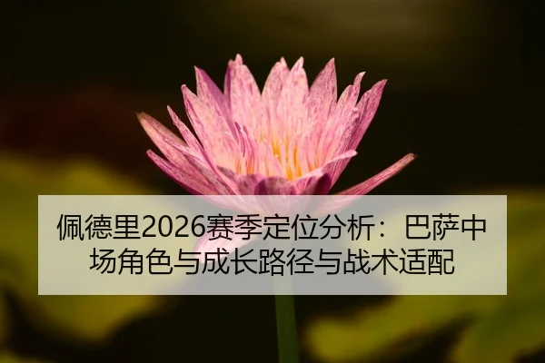佩德里2026赛季定位分析：巴萨中场角色与成长路径与战术适配